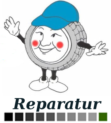 Reparatur